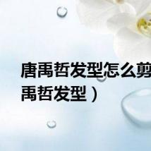 唐禹哲发型怎么剪（唐禹哲发型）