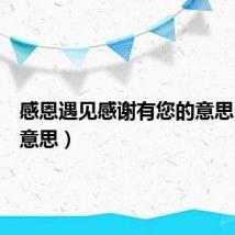 感恩遇见感谢有您的意思(您的意思)