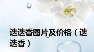 迭迭香图片及价格（迭迭香）