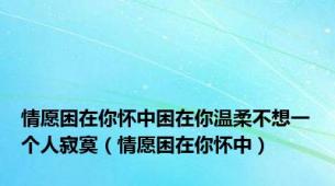 情愿困在你怀中困在你温柔不想一个人寂寞（情愿困在你怀中）