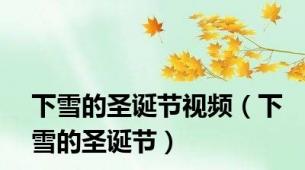 下雪的圣诞节视频（下雪的圣诞节）