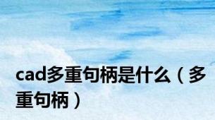 cad多重句柄是什么（多重句柄）