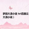 梦回大清小说 txt百度云（梦回大清小说）