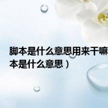 脚本是什么意思用来干嘛的(脚本是什么意思)