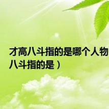 才高八斗指的是哪个人物(才高八斗指的是)