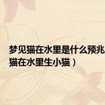梦见猫在水里是什么预兆(梦到猫在水里生小猫)