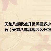 天龙八部武魂升级需要多少个润魂石(天龙八部武魂怎么升级)