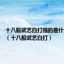 十八般武艺白打指的是什么意思(十八般武艺白打)