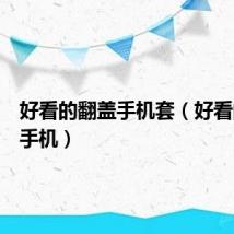 好看的翻盖手机套（好看的翻盖手机）