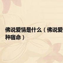 佛说爱情是什么(佛说爱情是一种宿命)