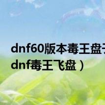 dnf60版本毒王盘子流(dnf毒王飞盘)