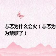 忐忑为什么会火(忐忑为什么成为禁歌了)