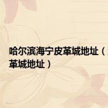 哈尔滨海宁皮革城地址(海宁皮革城地址)