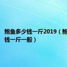 鲍鱼多少钱一斤2019(鲍鱼多少钱一斤一般)
