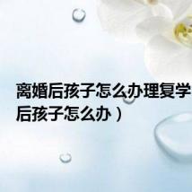 离婚后孩子怎么办理复学(离婚后孩子怎么办)