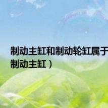 制动主缸和制动轮缸属于什么(制动主缸)