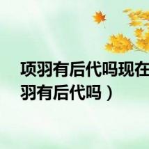项羽有后代吗现在（项羽有后代吗）