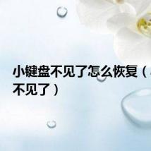 小键盘不见了怎么恢复(小键盘不见了)