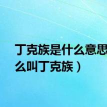 丁克族是什么意思（什么叫丁克族）