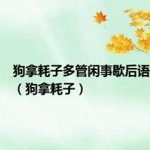 狗拿耗子多管闲事歇后语下一句(狗拿耗子)