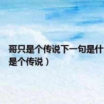哥只是个传说下一句是什么(哥是个传说)