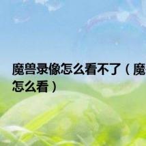 魔兽录像怎么看不了(魔兽录像怎么看)