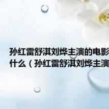 孙红雷舒淇刘烨主演的电影名字叫什么(孙红雷舒淇刘烨主演)