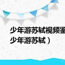 少年游苏轼视频鉴赏（少年游苏轼）