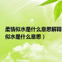 柔情似水是什么意思解释(柔情似水是什么意思)