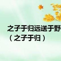 之子于归远送于野 意思(之子于归)