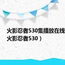 火影忍者530集播放在线观看(火影忍者530)