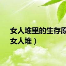 女人堆里的生存原则（女人堆）