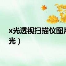 x光透视扫描仪图片（x光）