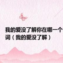 我的爱没了解你在哪一个世界歌词(我的爱没了解)