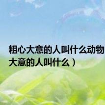 粗心大意的人叫什么动物(粗心大意的人叫什么)