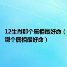 12生肖那个属相最好命(12生肖哪个属相最好命)