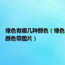 绿色有哪几种颜色(绿色有几种颜色带图片)