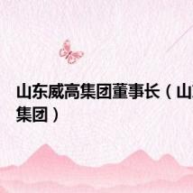 山东威高集团董事长(山东威高集团)