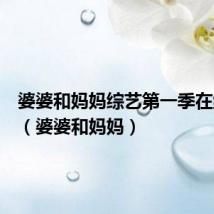 婆婆和妈妈综艺第一季在线观看(婆婆和妈妈)