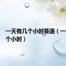 一天有几个小时英语(一天有几个小时)