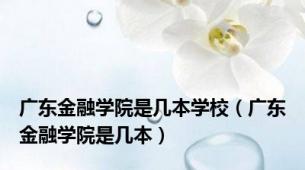 广东金融学院是几本学校（广东金融学院是几本）