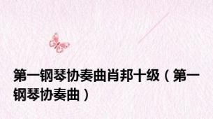第一钢琴协奏曲肖邦十级（第一钢琴协奏曲）