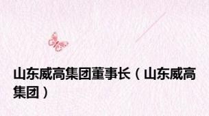 山东威高集团董事长（山东威高集团）