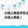 小说人物名字怎么取（小说人物名）