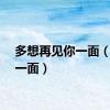 多想再见你一面（见你一面）