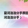 夏河洛洛分手原因（夏河洛洛分手）