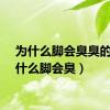 为什么脚会臭臭的（为什么脚会臭）