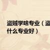 盗贼学啥专业（盗贼学什么专业好）