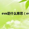 eva是什么意思（eva）