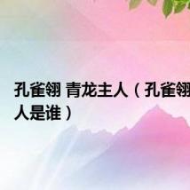 孔雀翎 青龙主人(孔雀翎青龙主人是谁)